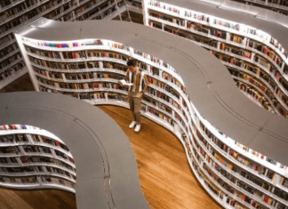 Best Personal Finance Books for Young Adults