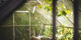 How To Heat A Greenhouse With Solar Panels