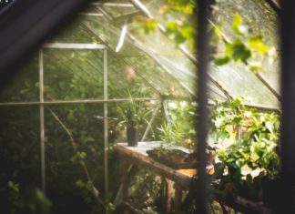 How To Heat A Greenhouse With Solar Panels