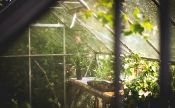How To Heat A Greenhouse With Solar Panels