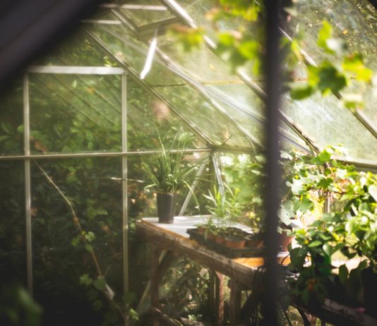 How To Heat A Greenhouse With Solar Panels