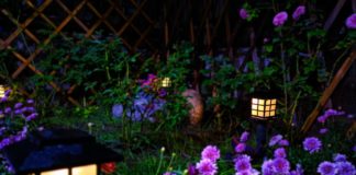 How Long Do Solar Lights Last