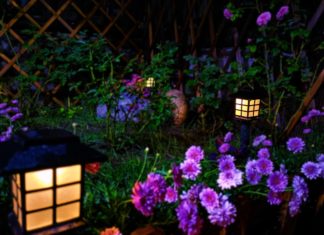 How Long Do Solar Lights Last