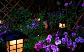How Long Do Solar Lights Last