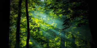 What is Active Solar Energy?