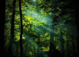 What is Active Solar Energy?