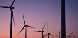 How Much Renewable Energy Does The US Use?