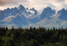 We see the vast Alaskan wilderness as well as some land for sale in Alaska covered in pine trees and snowy mountains.
