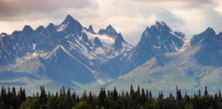 We see the vast Alaskan wilderness as well as some land for sale in Alaska covered in pine trees and snowy mountains.