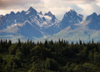 We see the vast Alaskan wilderness as well as some land for sale in Alaska covered in pine trees and snowy mountains.