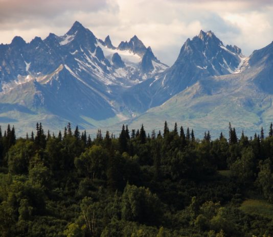 We see the vast Alaskan wilderness as well as some land for sale in Alaska covered in pine trees and snowy mountains.