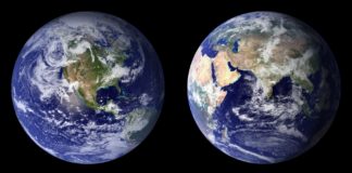 How Much Renewable Energy Does The World Use?