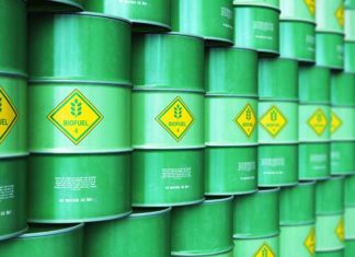 What Is Biodiesel And How Does It Work?