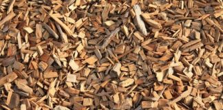 What Is Biomass Fuel?