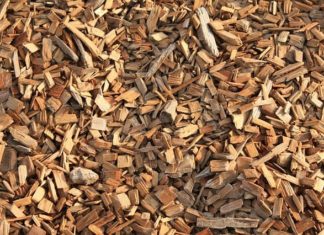 What Is Biomass Fuel?