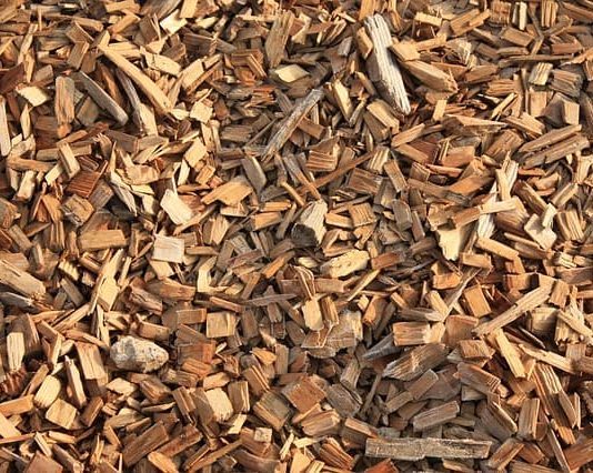 What Is Biomass Fuel?