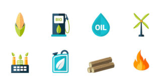 How Biofuels Work and How to Make Biofuels?
