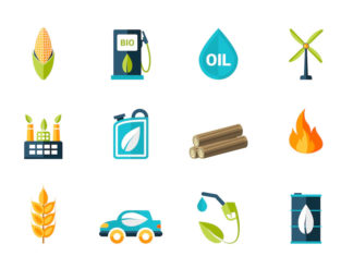 How Biofuels Work and How to Make Biofuels?