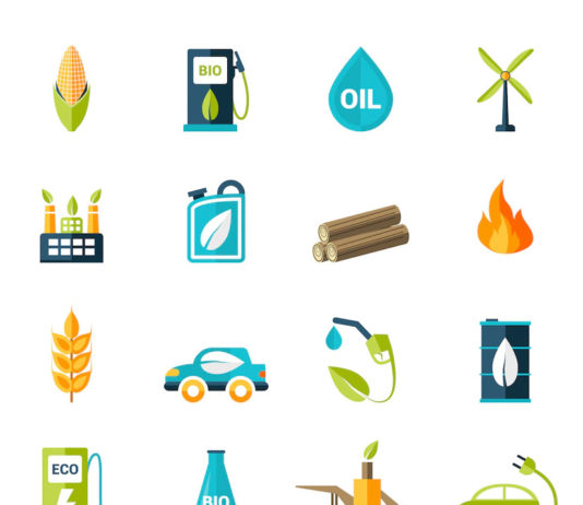 How Biofuels Work and How to Make Biofuels?
