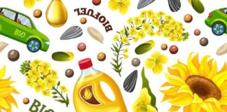 Pros and Cons Of Biofuel