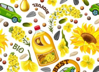 Pros and Cons Of Biofuel