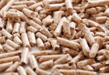 Pros and Cons of Biomass Energy