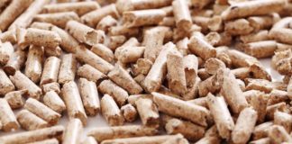 Pros and Cons of Biomass Energy
