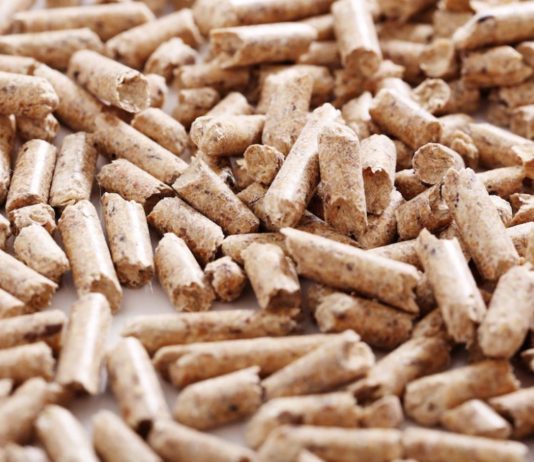 Pros and Cons of Biomass Energy Pros and Cons of Biomass Energy