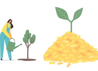 Biomass Energy: Pros And Cons