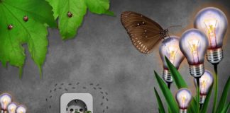 Eco-friendly Energy Conservation Techniques to Reduce Energy Use