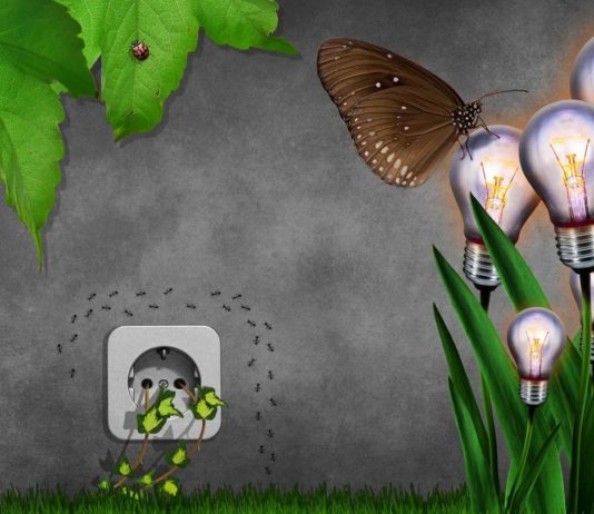 Eco-friendly Energy Conservation Techniques to Reduce Energy Use Eco-friendly Energy Conservation Techniques to Reduce Energy Use