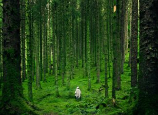 How to Save Energy & Nature