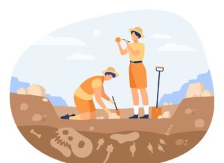 Fossil Fuels Pros And Cons You Need To Know
