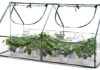 Greenhouse Kits for Your Mini Garden