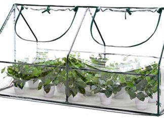 Greenhouse Kits for Your Mini Garden