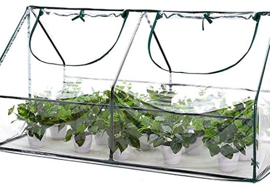 Greenhouse Kits for Your Mini Garden