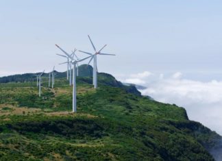 How Does Renewable Energy Work?
