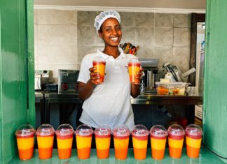 The Environmental Implications of Single-Use Plastic Products vs Alternative Materials
