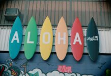 Moving To Hawai’i The 5 Best Areas For Young Families To Live