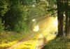 4 Roles of Natural Light in Our Path to Sustainability